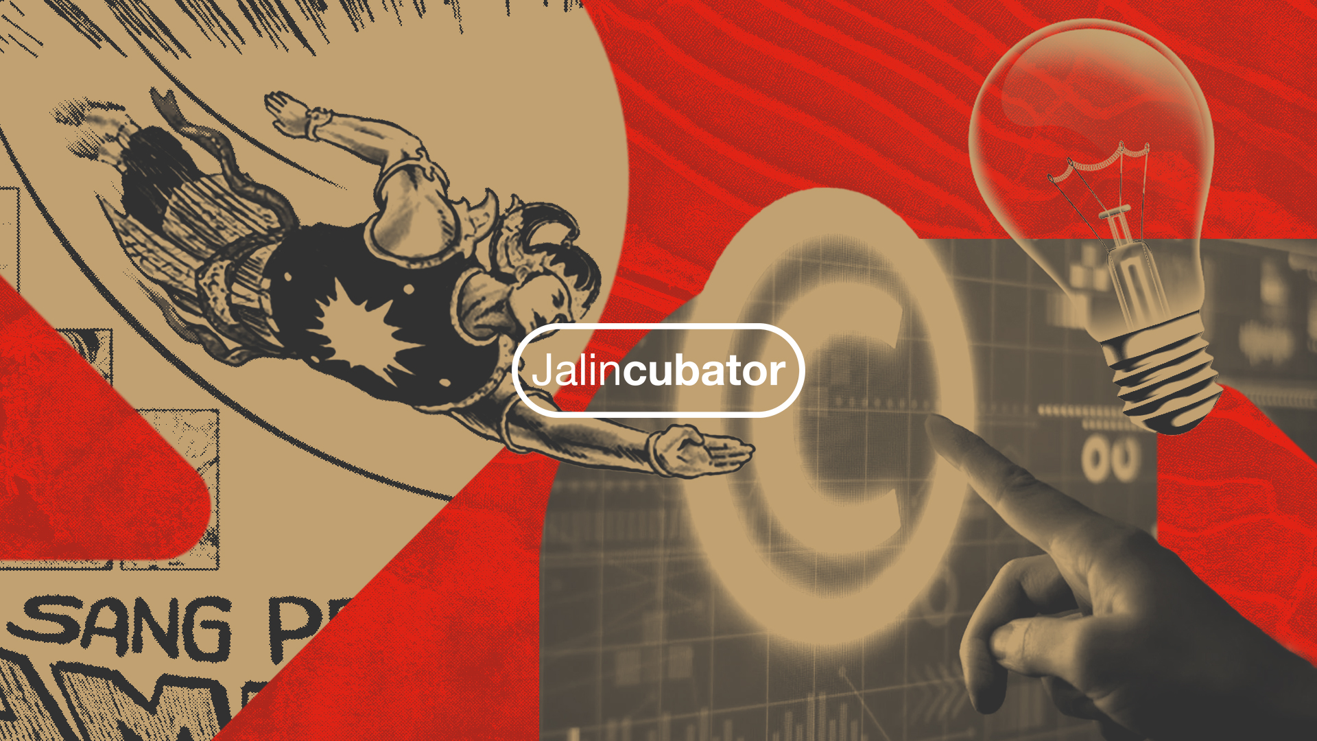 IP Management and Business Incubator